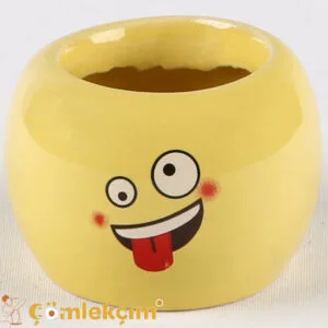 Kaktüs Emoji Saksı Deli Komik Çılgın